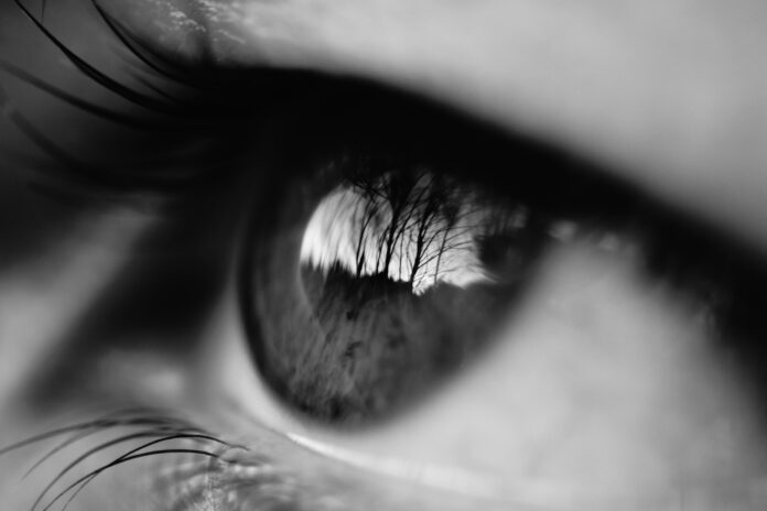 eye-eyelash-face-black-iris-close-up-1619100-pxhere.com