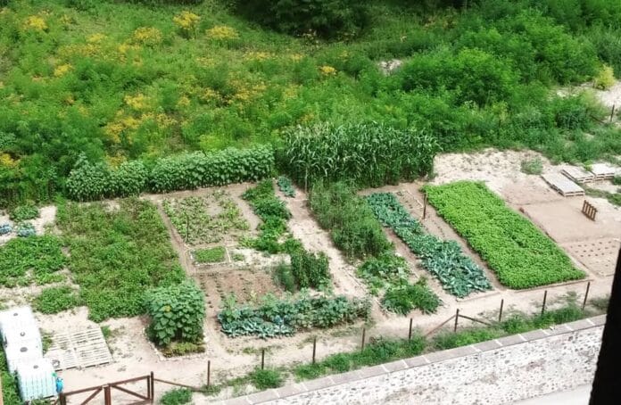 Orto Aperto di via Medici a Trento visto dall’alto
