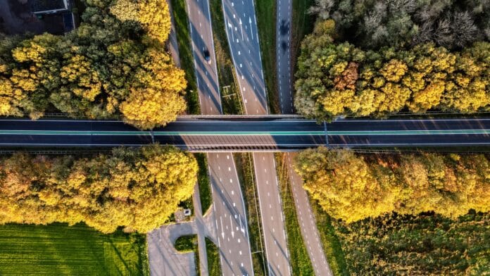 aerial photo of roads