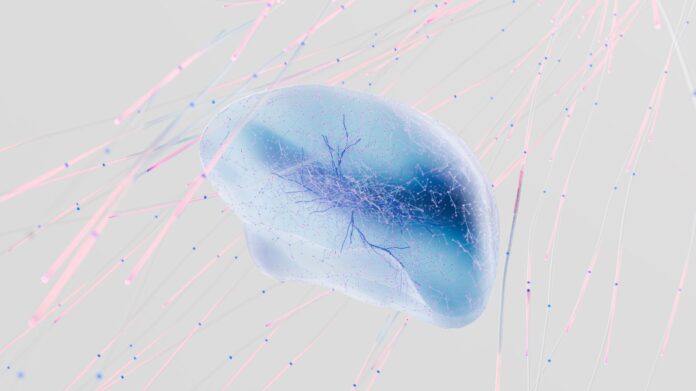 pexels-photo-17483867 an artist s illustration of artificial intelligence ai this image represents how machine learning is inspired by neuroscience and the human brain it was created by novoto studio as par